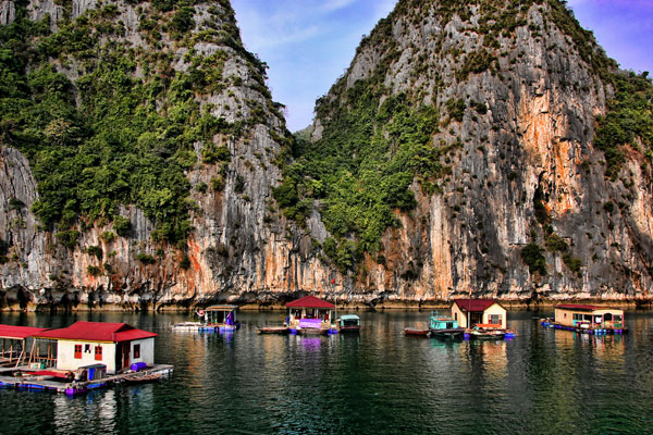 Ha Long Party Cruises 